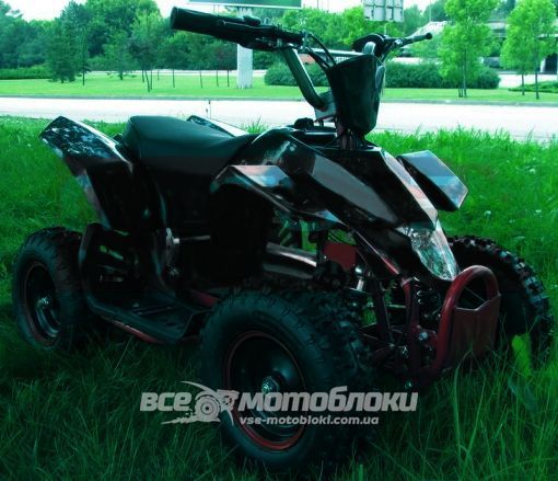 Электроквадроцикл HAMER Raptor 800W ELK-013 фото