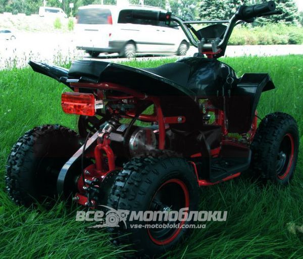 Электроквадроцикл HAMER Raptor 800W ELK-013 фото
