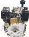 Двигун Vitals DM 12.0kne 148187 фото 6