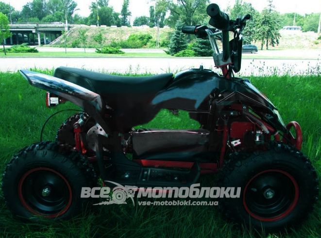Электроквадроцикл HAMER Raptor 800W ELK-013 фото