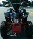 Электроквадроцикл HAMER Raptor 800W ELK-013 фото 2