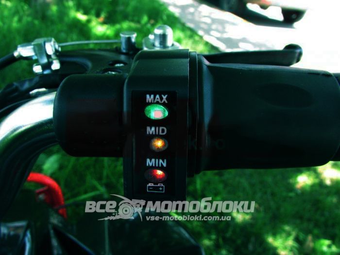 Электроквадроцикл HAMER Raptor 800W ELK-013 фото