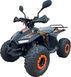 Квадроцикл FORSAGE MOTO Venom 110 KVD-356 фото 2