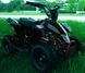 Электроквадроцикл HAMER Raptor 800W ELK-013 фото 6