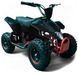Электроквадроцикл HAMER Raptor 800W ELK-013 фото 1