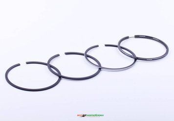 Кольца ?100,0 mm STD - ZS/ZH1100 8628-ТЗ фото