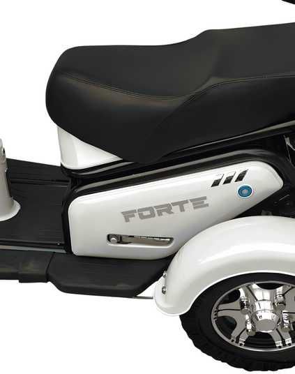 Купить Электротрайк FORTE S1-P600. Рассрочка на Электротрайки в