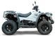 Квадроцикл LINHAI M550L (Long Base) KVD-062 фото 2