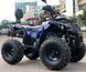 Квадроцикл SPARK SP125-5 KVD-112 фото 5