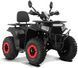 Квадроцикл FORTE ATV-200G KVD-213 фото 1