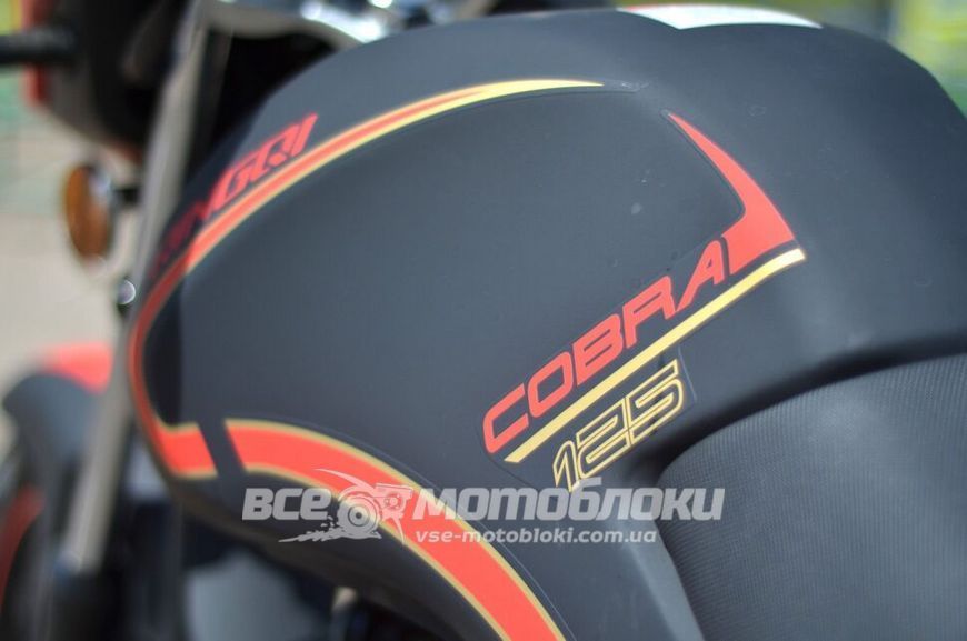 Мопед SKYBIKE COBRA 125 (QINGQI) MOP-057 фото