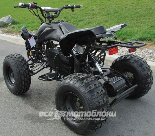 Электроквадроцикл HAMER E-Max 1000 Pro ELK-016 фото