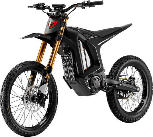 Купити Електромотоцикл ARCTIC LEOPARD CLOUDED XE PRO R з доставкою
