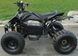 Электроквадроцикл HAMER E-Max 1000 Pro ELK-016 фото 4