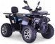 Квадроцикл SHARX 200 KVD-096 фото 1