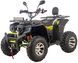 Квадроцикл XTR FARMER PRO 200 KVD-292 фото 2