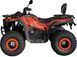Квадроцикл SPARK WILD 200 KVD-419 фото 4