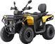 Квадроцикл ASIX Gladiator PRO 200 (карбюратор) KVD-394 фото 3