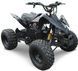 Электроквадроцикл HAMER E-Max 1500 Pro ELK-017 фото 1