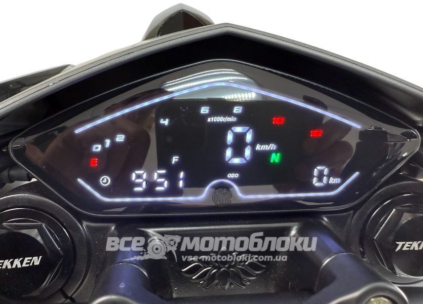 Мотоцикл TEKKEN 300 [Dual Sport] MOT-555 фото