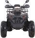 Квадроцикл SPARK SP200-10 KVD-315 фото 2