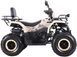 Квадроцикл SPARK SP200-10 KVD-315 фото 8