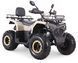 Квадроцикл SPARK SP200-10 KVD-315 фото 1