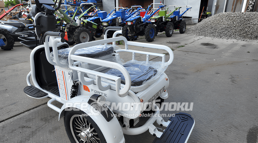 Електротрайк FORTE CARGO-P800 ELT-030 фото