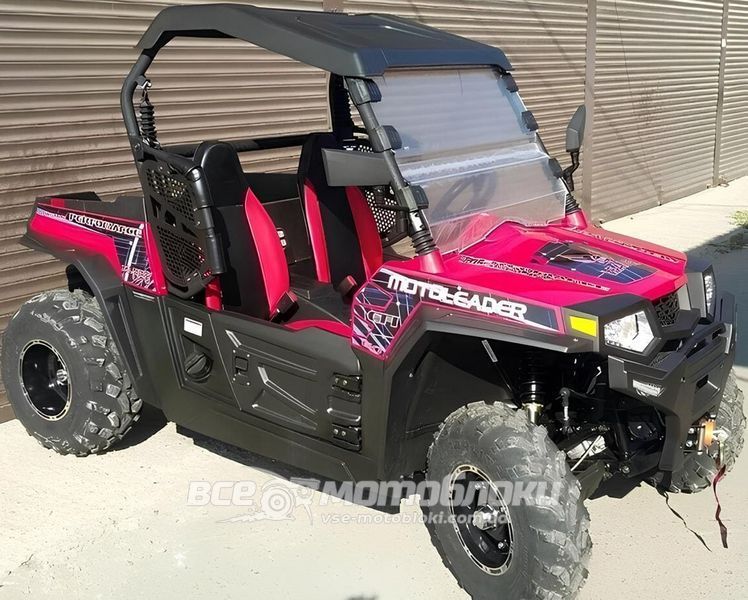 Баггі Hisun RZR ML 300 BAG-025 фото