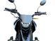Мотоцикл TEKKEN 300 [Dual Sport] MOT-555 фото 10