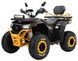 Электроквадроцикл SPARK Hornet ELK-063 фото 2