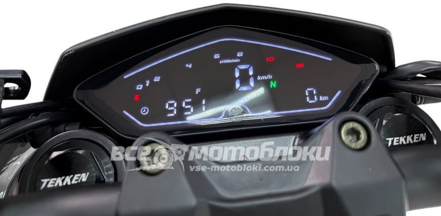 Мотоцикл TEKKEN 300 [Dual Sport] MOT-555 фото