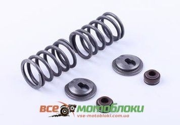 Клапанный механизм комплект (пружины, тарелки, сальн.клап.) на 2 кл. - 188F 9666-ТЗ фото