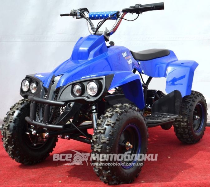 Електроквадроцикл SPORT ENERGY X-1 800W ELK-021 фото