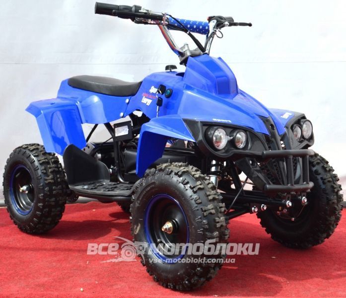 Електроквадроцикл SPORT ENERGY X-1 800W ELK-021 фото