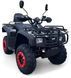 Квадроцикл FORTE ATV-250B KVD-219 фото 1