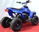 Електроквадроцикл SPORT ENERGY X-1 800W ELK-021 фото 5