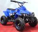 Електроквадроцикл SPORT ENERGY X-1 800W ELK-021 фото 2