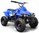 Електроквадроцикл SPORT ENERGY X-1 800W ELK-021 фото 1