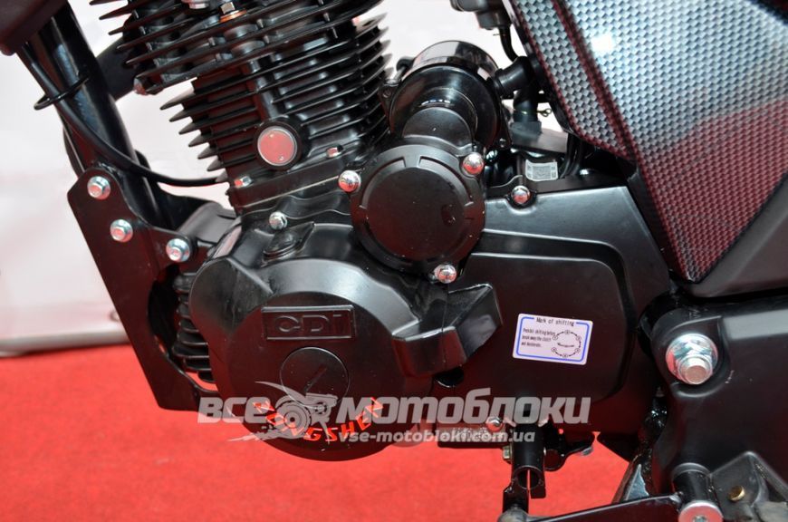 Мотоцикл BASHAN PILOT 250 MOT-210 фото
