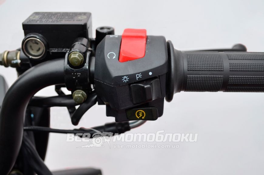 Мотоцикл BASHAN PILOT 250 MOT-210 фото