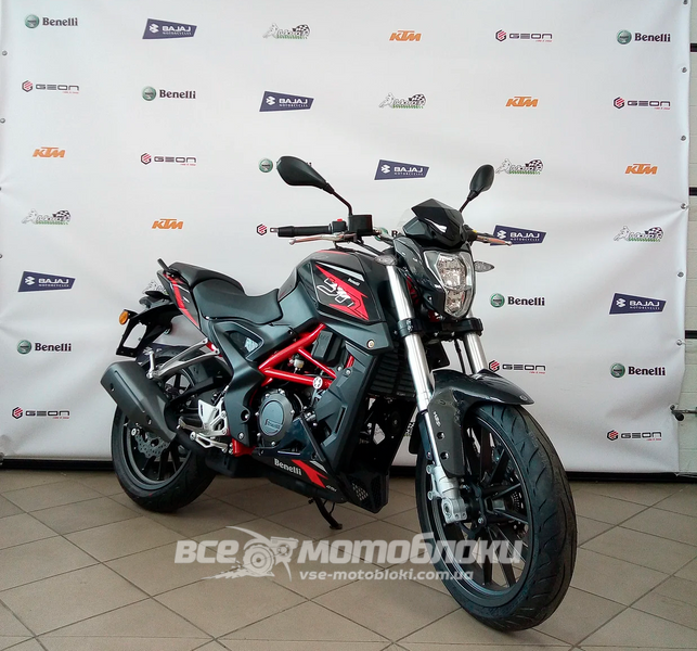 Мотоцикл BENELLI TNT25 ABS MOT-161 фото
