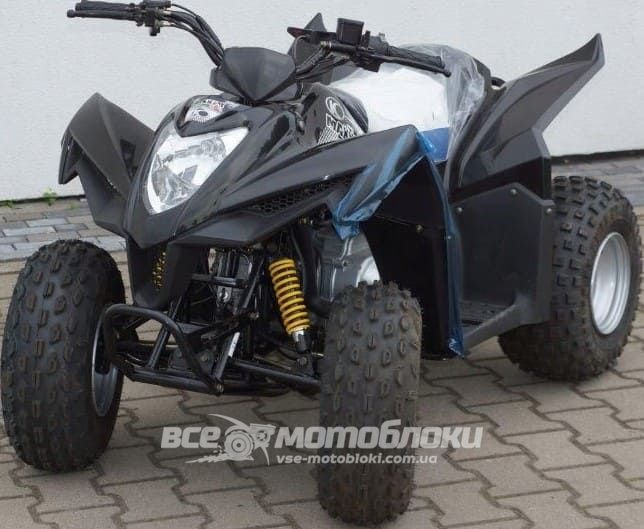 Квадроцикл Kymco Maxxer 50 (Mongoose) KVD-170 фото