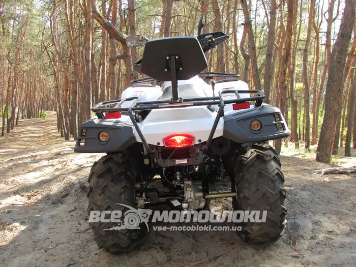 Квадроцикл LINHAI-YAMAHA LH300ATV-3D KVD-069 фото
