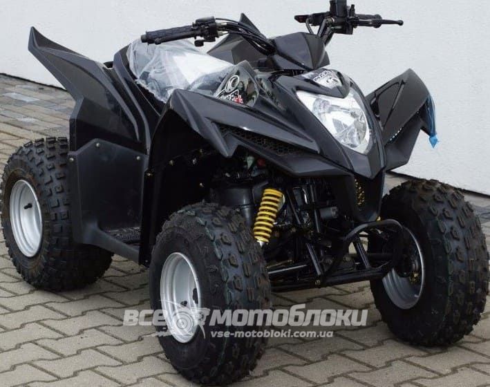 Квадроцикл Kymco Maxxer 50 (Mongoose) KVD-170 фото