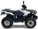 Квадроцикл LINHAI-YAMAHA LH300ATV-3D KVD-069 фото 2