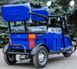 Електроскутер трехколісний VEGA HELP 650 ELS-002 фото 9