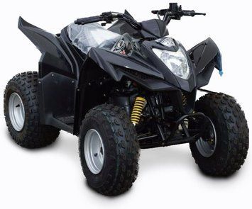 Квадроцикл Kymco Maxxer 90 (Mongoose) KVD-171 фото
