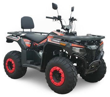 Квадроцикл FORTE ATV-200BS PRO KVD-336 фото