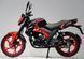Мотоцикл FORTE FT250-X6 MOT-465 фото 4